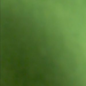 Meet your Posher, Muhammad